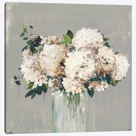 White Hydrangea  Canvas Print #ALP331} by Allison Pearce Canvas Artwork