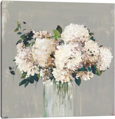 White Hydrangea  Canvas Art Print - Still Life