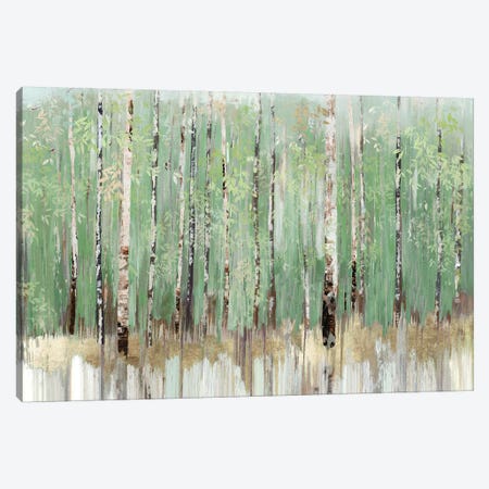 Tree Essence I Canvas Print #ALP335} by Allison Pearce Canvas Art Print