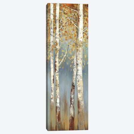 Butterscotch Birch Trees I Canvas Print #ALP35} by Allison Pearce Art Print