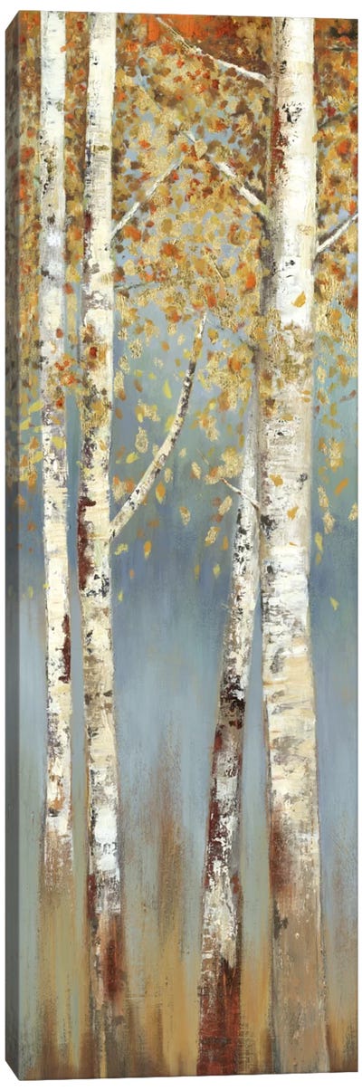 Butterscotch Birch Trees I Canvas Art Print - Birch Tree Art