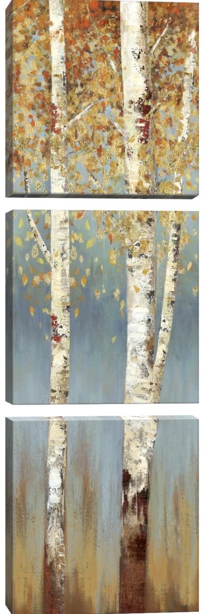 Butterscotch Birch Trees II Canvas Art Print - 3-Piece Panoramic Art