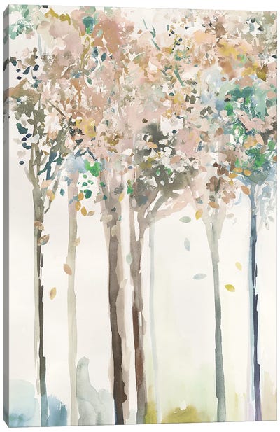 Golden Trees II  Canvas Art Print - Allison Pearce