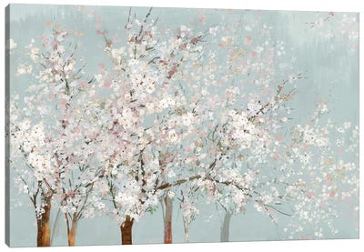 Sacura Bloom Canvas Art Print - Calm & Sophisticated Living Room Art