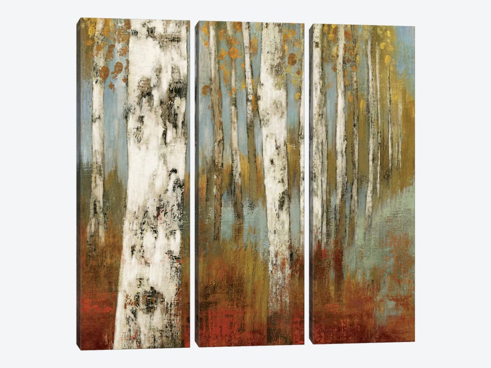 Along The Path II by Allison Pearce 3-piece Canvas Artwork