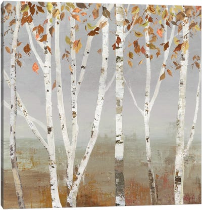 Fall Diffraction Canvas Art Print - Aspen Tree Art
