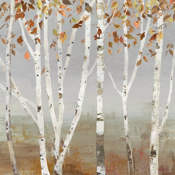 Aspen Trees: Fall Diffraction by Allison Pearce