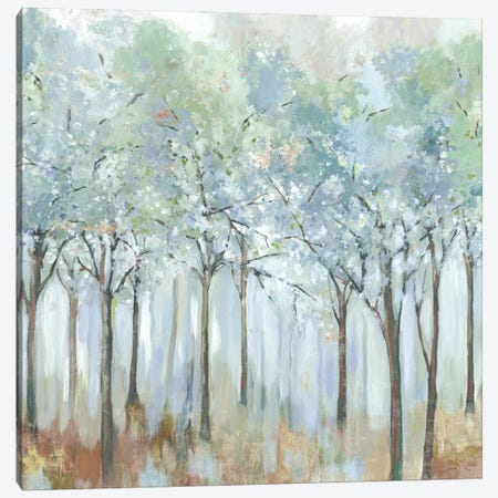 Forest of Light Canvas Print #ALP408} by Allison Pearce Canvas Art