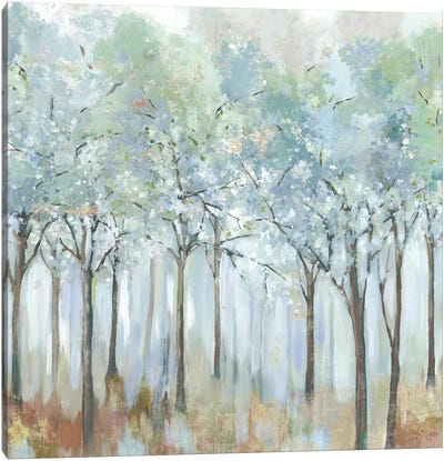 Forest of Light Canvas Art Print - Allison Pearce