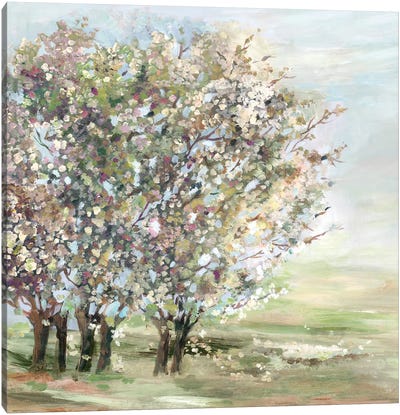 Glorious Bloom Canvas Art Print - Allison Pearce