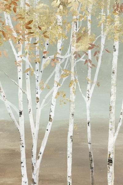 Golden Birch II by Allison Pearce art print