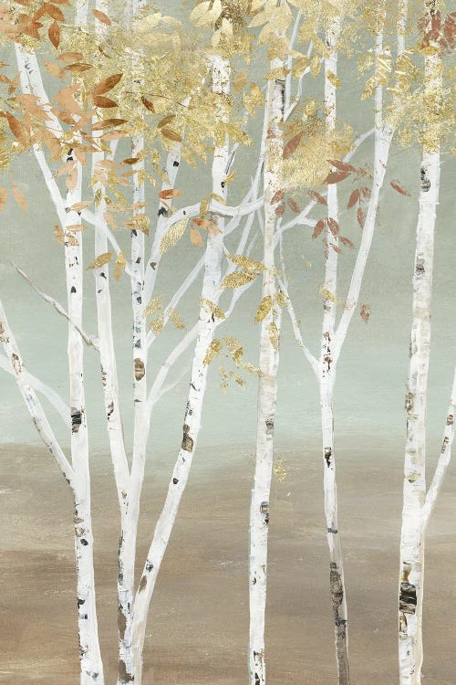 Golden Birch