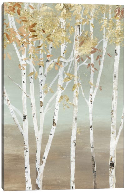 Golden Birch Canvas Art Print - Aspen Tree Art