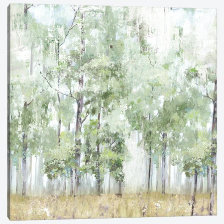 Into the Forest Light Canvas Print #ALP414} by Allison Pearce Canvas Artwork