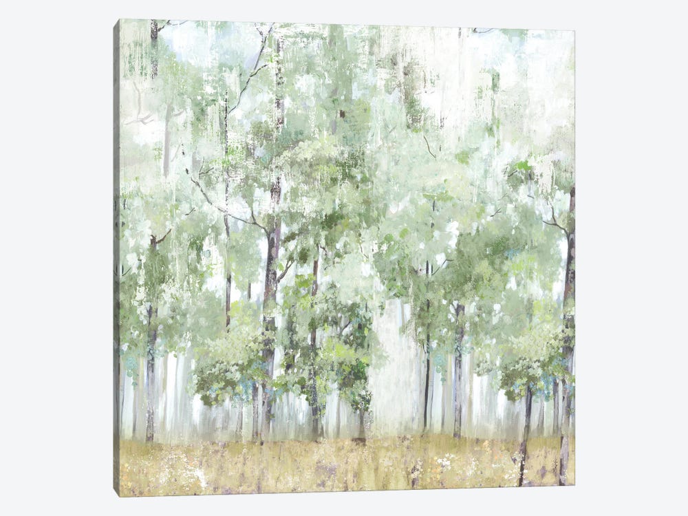 Into the Forest Light by Allison Pearce 1-piece Canvas Art