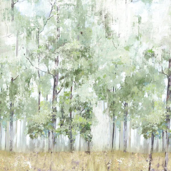 PI Creative Art: Into the Forest Light by Allison Pearce