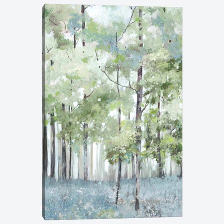 Light Forest Canvas Print #ALP415} by Allison Pearce Canvas Wall Art