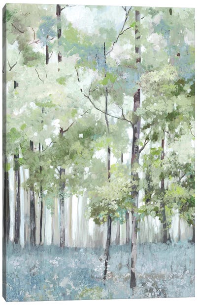 Light Forest Canvas Art Print - Allison Pearce