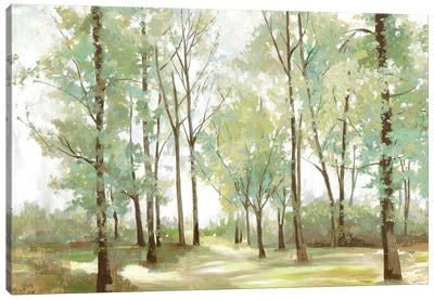 Peaceful Sunshine Canvas Art Print - Forest Art
