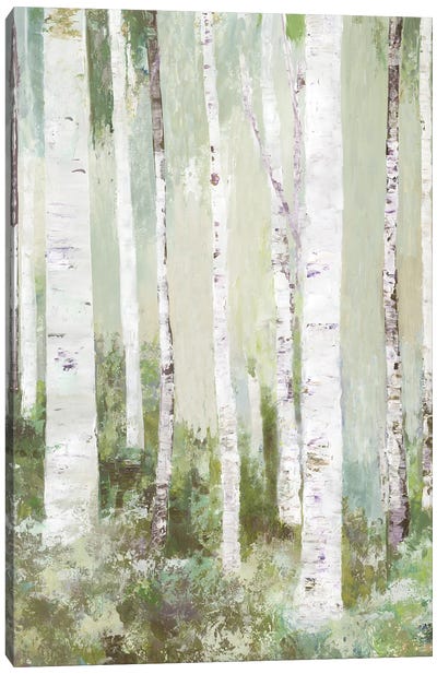Quiet Beauty Canvas Art Print - Aspen Tree Art