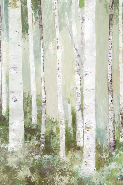 Aspen Trees: Quiet Beauty by Allison Pearce