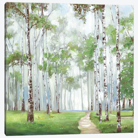 Quiet Path Canvas Print #ALP420} by Allison Pearce Canvas Art
