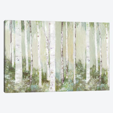 Tranquil Forest Canvas Print #ALP425} by Allison Pearce Art Print