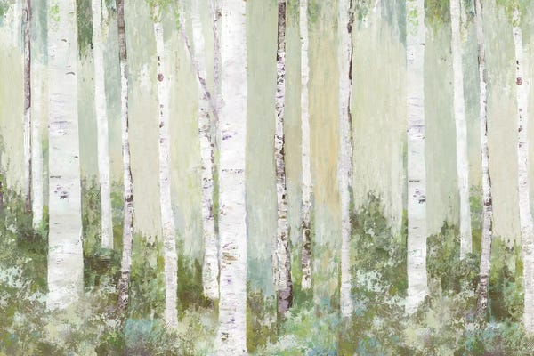 Aspen Trees: Tranquil Forest by Allison Pearce