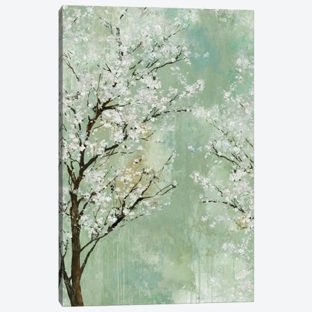 Apple Grove I Canvas Print #ALP428} by Allison Pearce Canvas Artwork