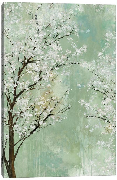 Apple Grove I Canvas Art Print