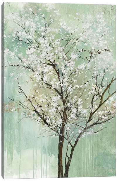 Apple Grove II Canvas Art Print - Allison Pearce