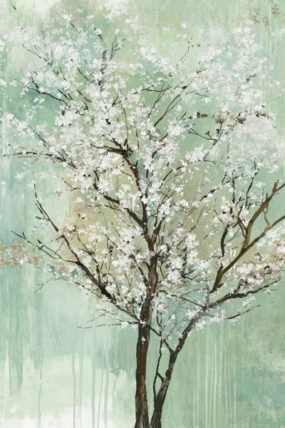 Apple Grove II