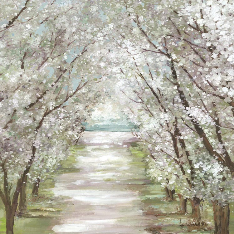 Blossom Pathway by Allison Pearce wall art
