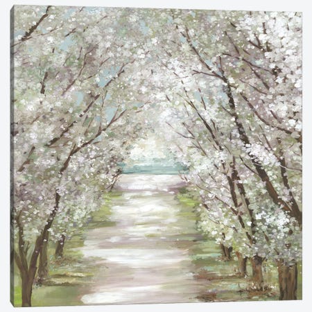 Blossom Pathway Canvas Print #ALP431} by Allison Pearce Art Print