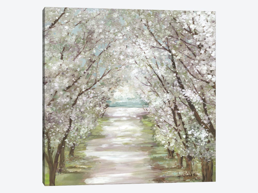 Blossom Pathway by Allison Pearce 1-piece Canvas Art Print