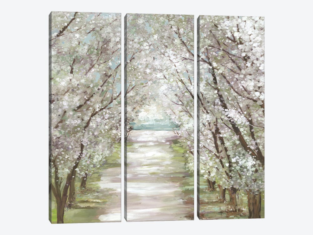 Blossom Pathway by Allison Pearce 3-piece Canvas Print