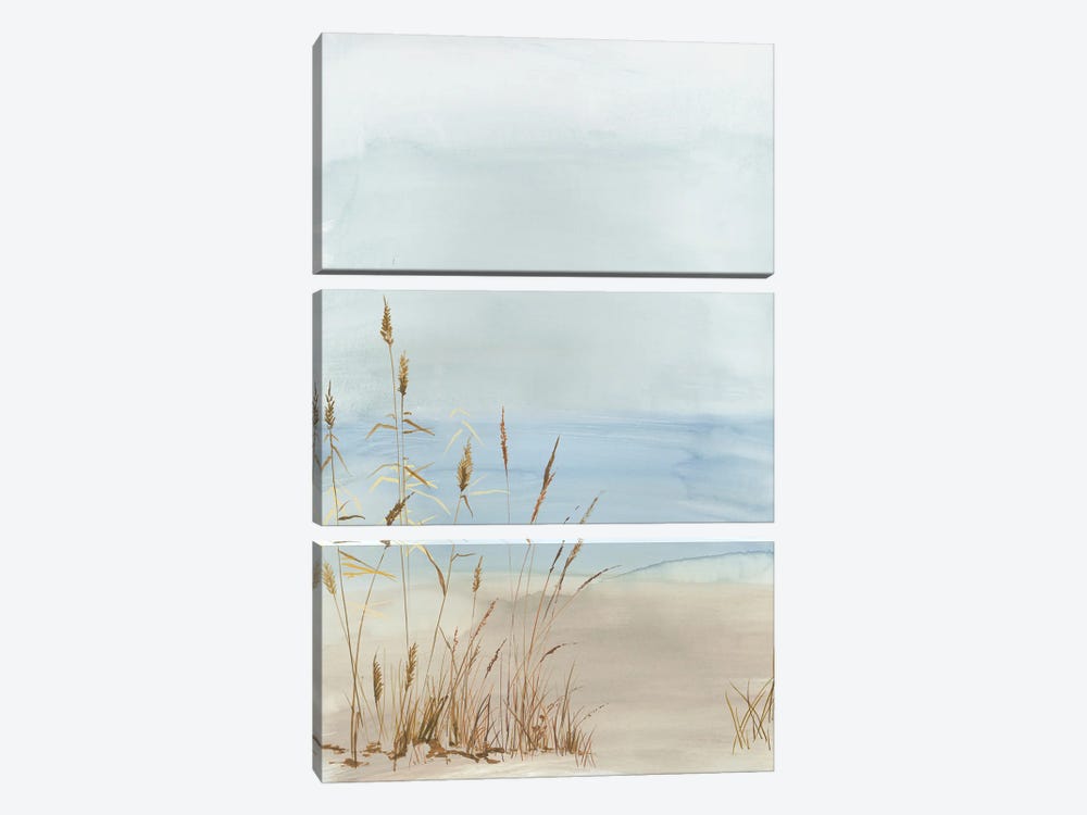 Soft Beach Grass II by Allison Pearce 3-piece Canvas Wall Art