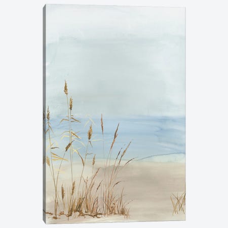 Soft Beach Grass II Canvas Print #ALP454} by Allison Pearce Canvas Wall Art