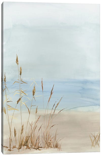 Soft Beach Grass II Canvas Art Print - Allison Pearce