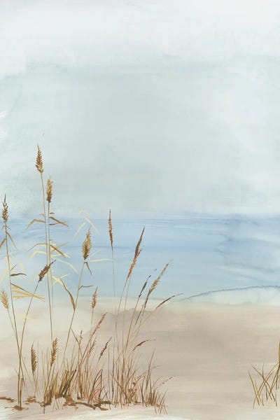 Large Coastal Art - Canvas Prints: Soft Beach Grass II by Allison Pearce