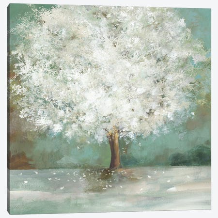 White Tree Canvas Print #ALP456} by Allison Pearce Canvas Wall Art