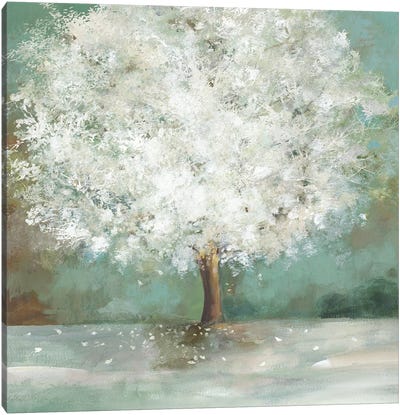 White Tree Canvas Art Print - Allison Pearce