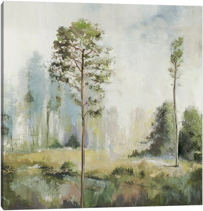 Tall Green Trees I Canvas Art Print - Rustic Décor