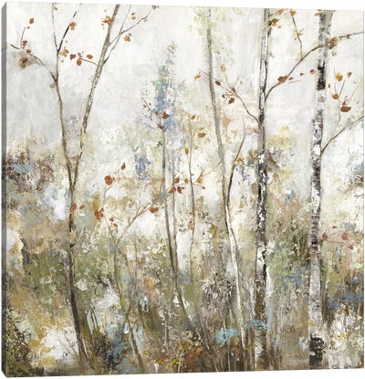 Soft Birch Forest I Canvas Art Print - Floral & Botanical Art