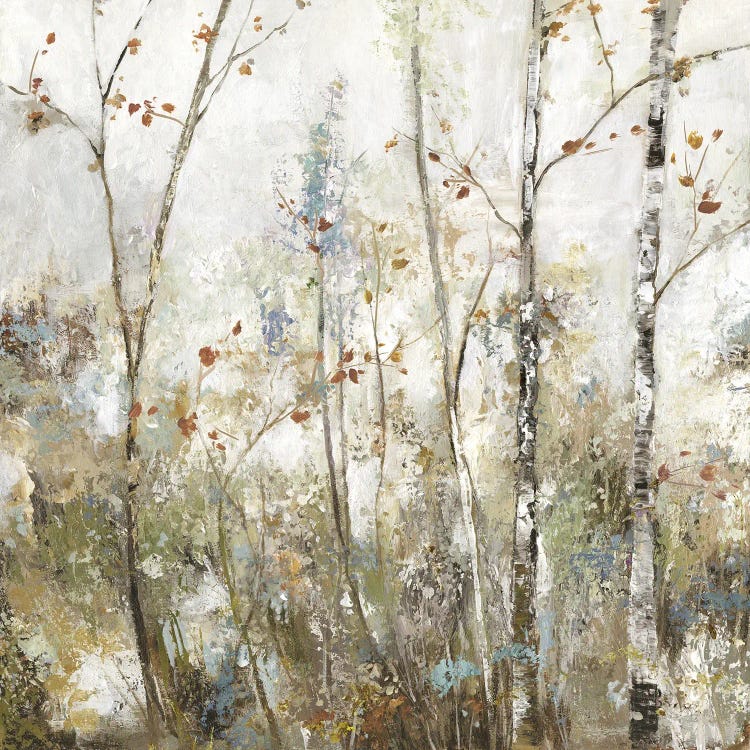 Soft Birch Forest I