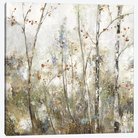 Soft Birch Forest I Canvas Print #ALP484} by Allison Pearce Canvas Art Print