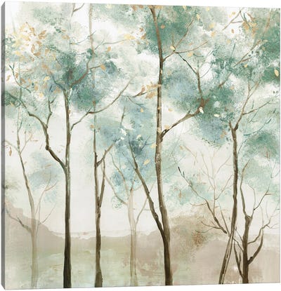 Sunny Green Forest Canvas Art Print - Allison Pearce