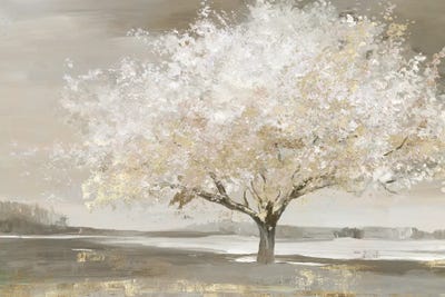 Allison Pearce - Framed Fine Art Prints: Forest Wonderland by Allison Pearce