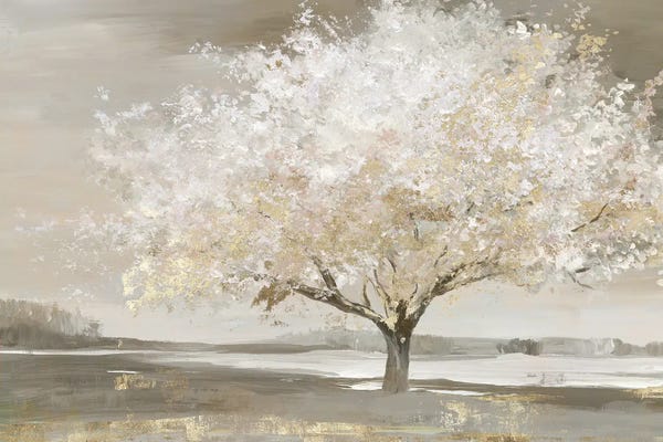 Allison Pearce: Forest Wonderland by Allison Pearce