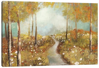 Dandelion Path Canvas Art Print - Allison Pearce